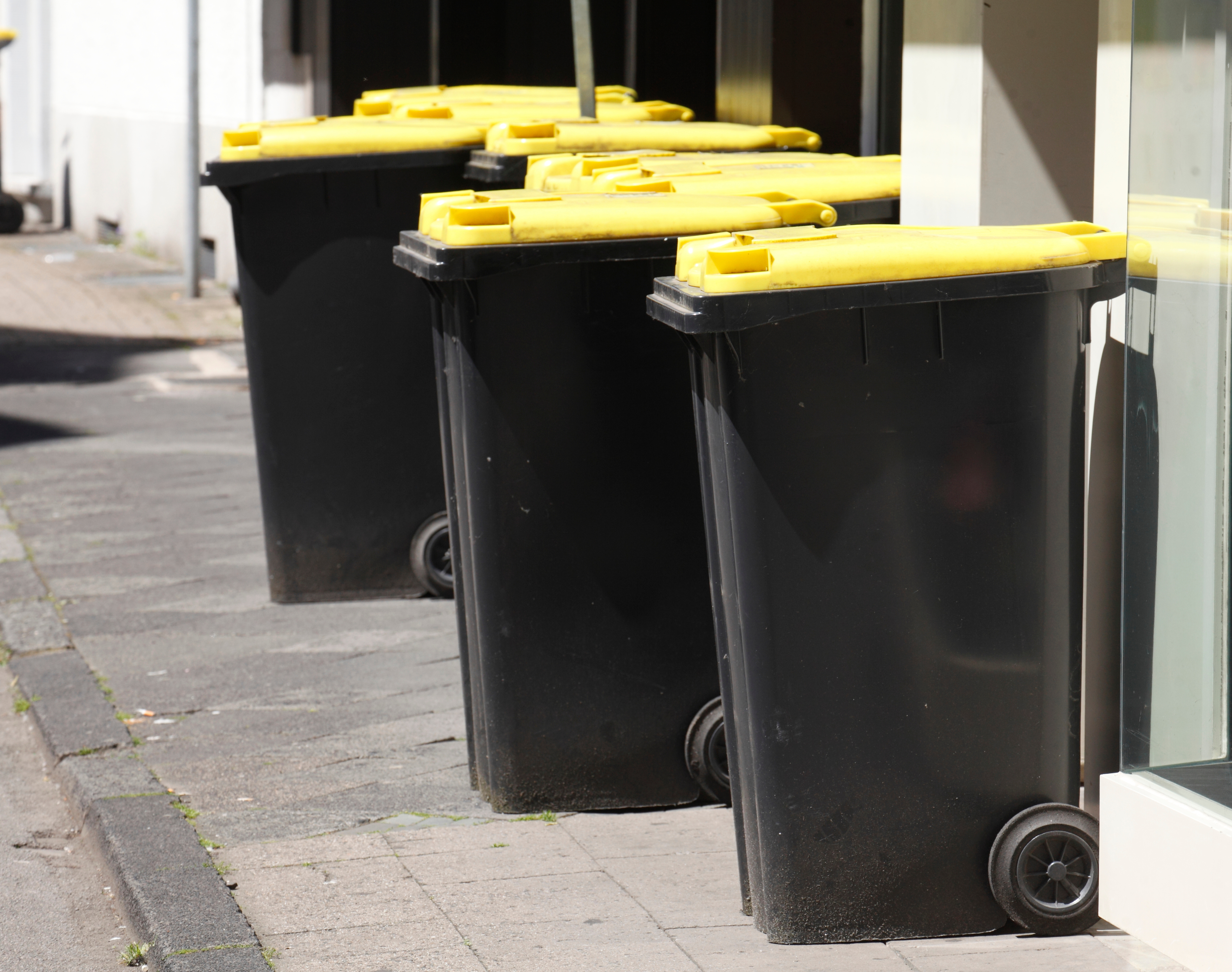 Startschuss für die gelbe Tonne fällt am 1. Juli